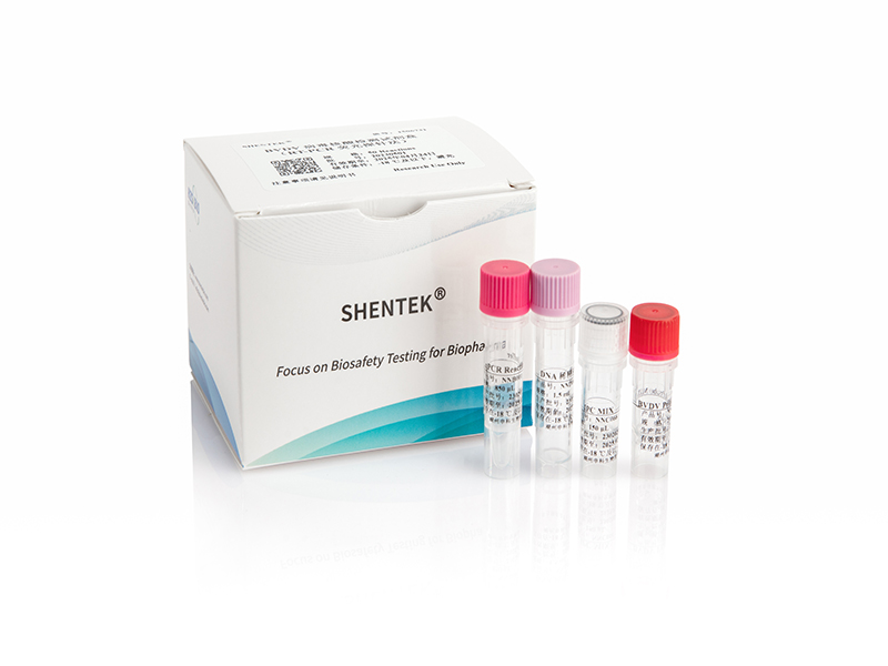 BVDV Detection Kit